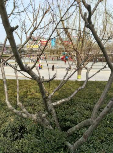 兴华公园旅行图片 3