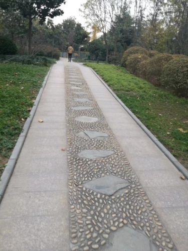 数码公园旅行图片 1