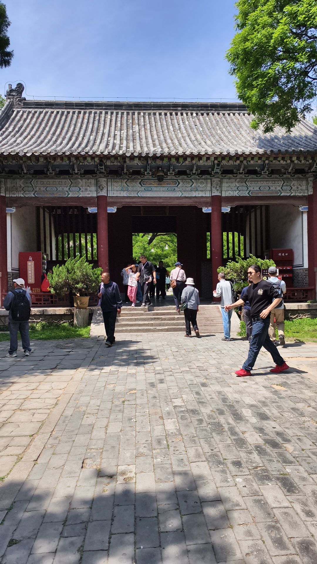 岱庙-唐槐院实景照片