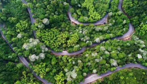 温州三条桥旅行图片 2