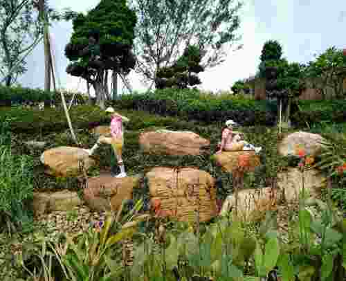 江门人才岛示范段公园旅行图片 1