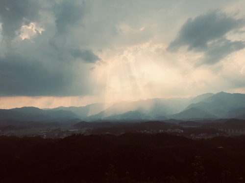 金丰花海旅行图片 1