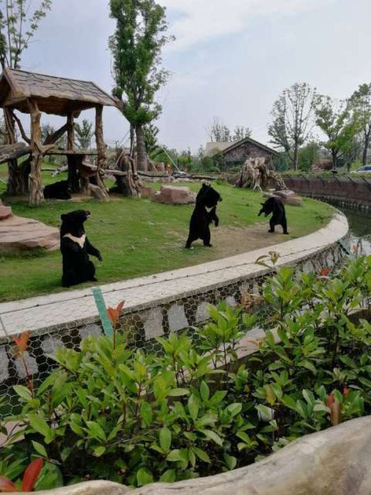 南通森林野生动物园景点图片