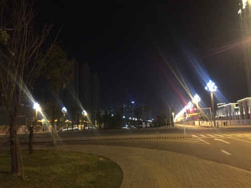 中央水体公园旅行图片 2