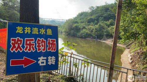 龙井流水欢乐钓场