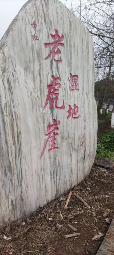 老虎崖湿地公园