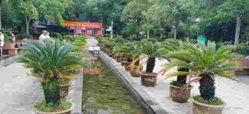 灯塔公园旅行图片 3