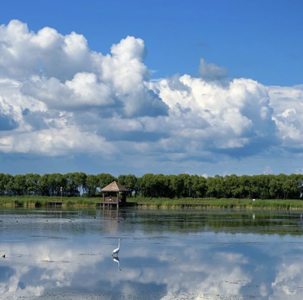 富锦国家湿地公园景点图片