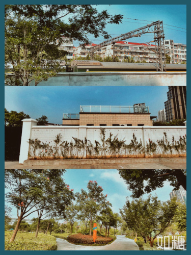 建民绿地公园旅行图片 2