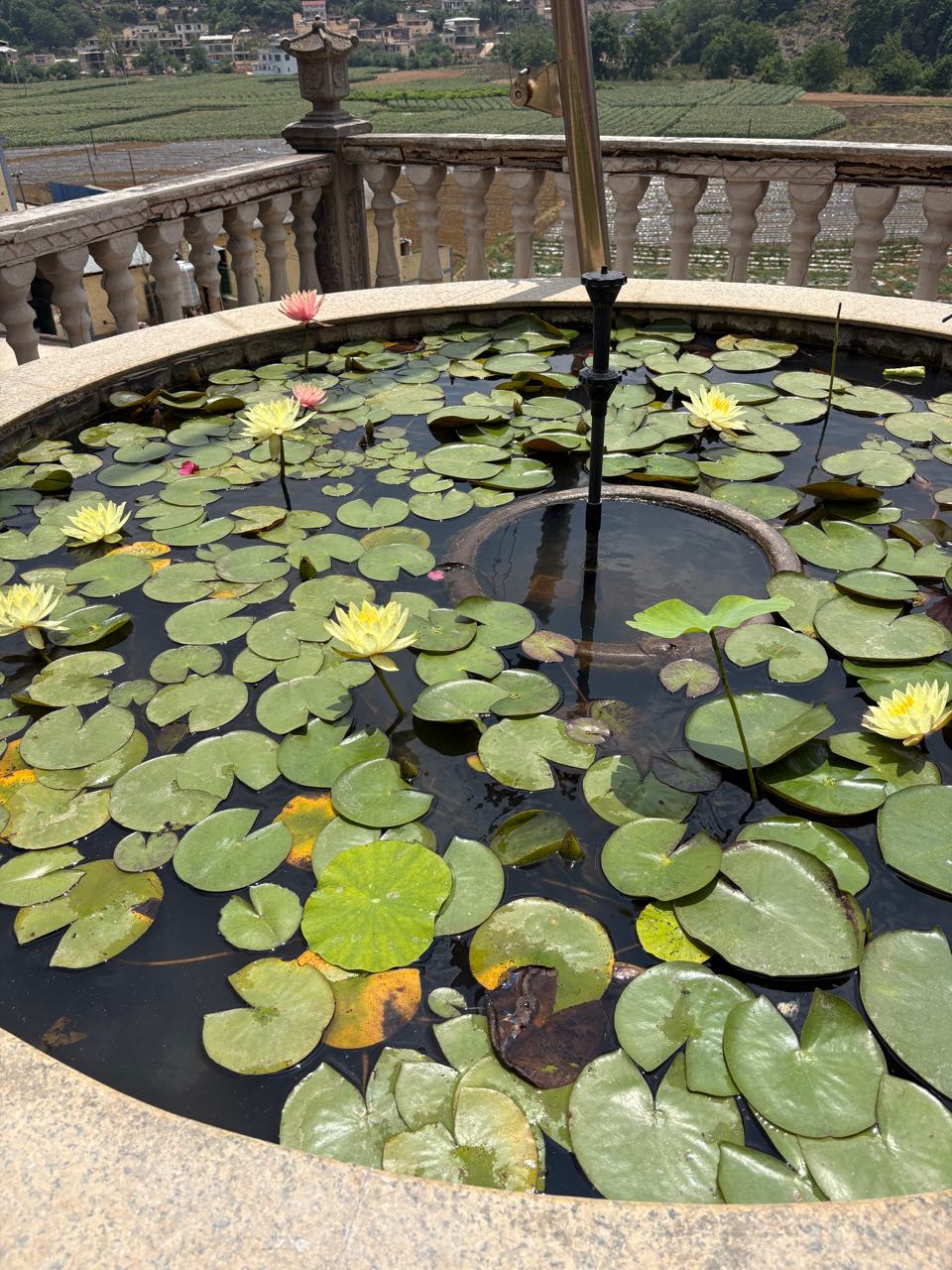 观音寺实景照片