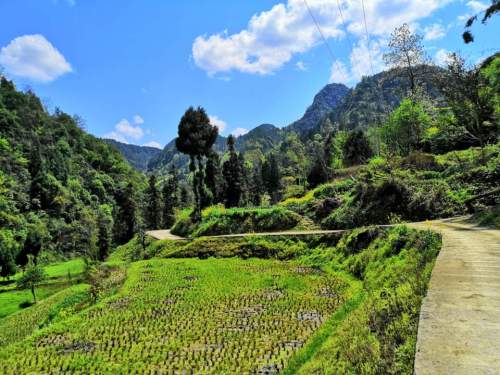 菖蒲溪旅行图片 2