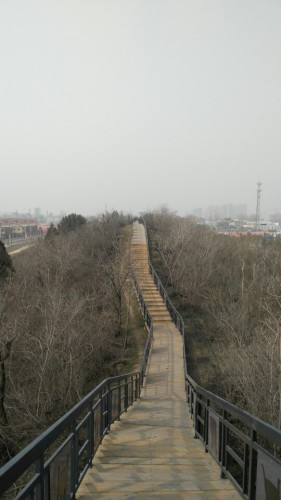 郑韩故城国家考古遗址公园旅行图片 2