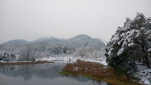 杭州西湖风景名胜区-永福桥的第2张图片的图片资料