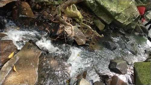 呀诺达雨林文化旅游区-莲恩瀑布