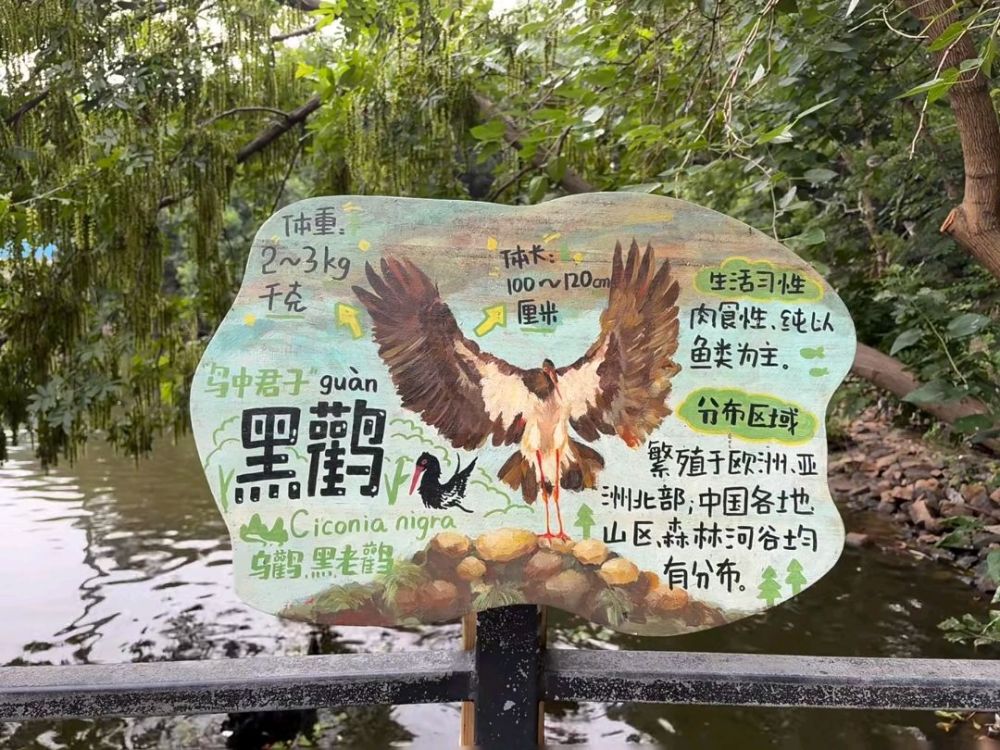 合肥野生动物园景点图片