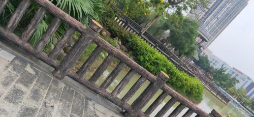 礼乐公园旅行图片 1
