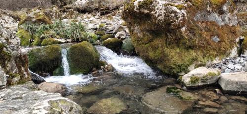 花千谷旅行图片 2