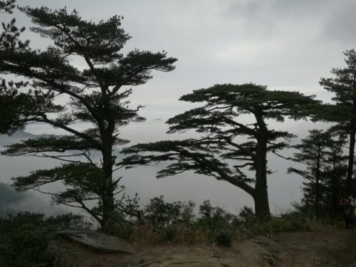 杨东山十二渡水生态旅游区旅行图片 2