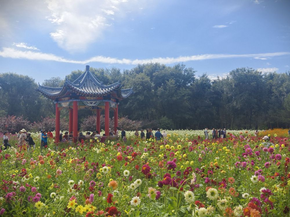 包头南郊公园景点图片