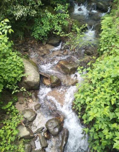 安吉竹海三十三观音旅行图片 1