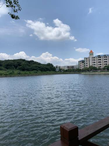 琴湖旅行图片 1