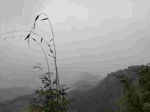 连天山森林公园旅行图片 1