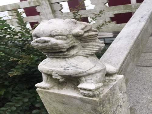奎潭湖旅行图片 3
