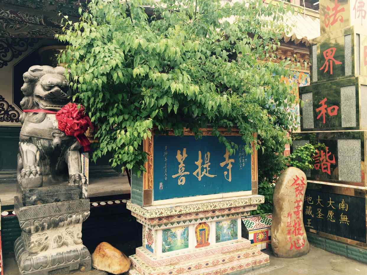 菩提寺实景照片
