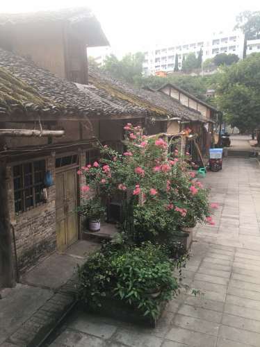 復兴古镇旅行图片 2