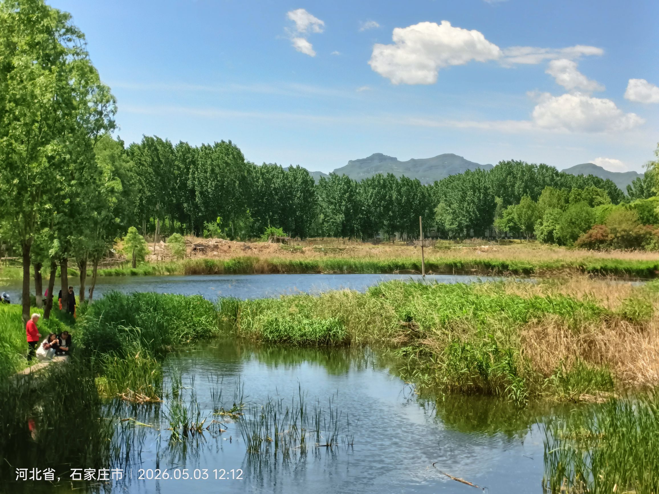 清凉湾湿地公园