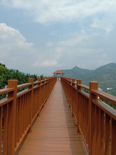 平和万亩柚海休闲木栈道旅行图片 1