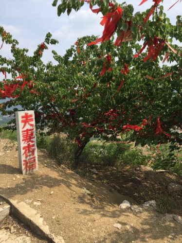 太皇崮云台寺旅行图片 3