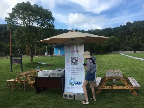 海之湾山海乐园旅行图片 2