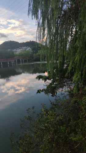 塔山公园旅行图片 1