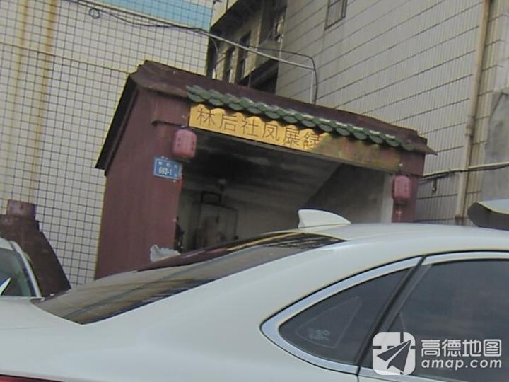林后社凤展绿土地公庙实景照片