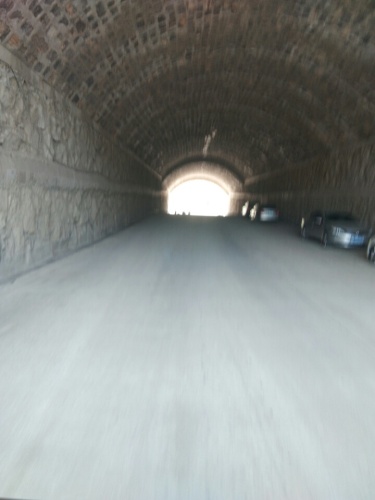 河南省安阳市龙安区森林公园旅行图片 3