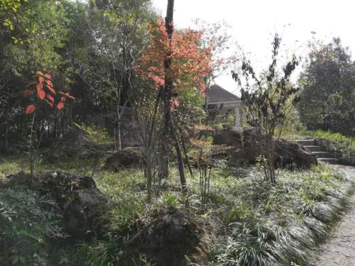 柯尔山公园旅行图片 3