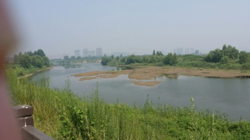 伊洛合流旅行图片 3