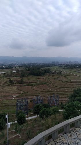 双桂田园·万石耕春景区旅行图片 1