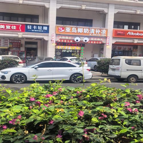 亚岛椰奶清补凉