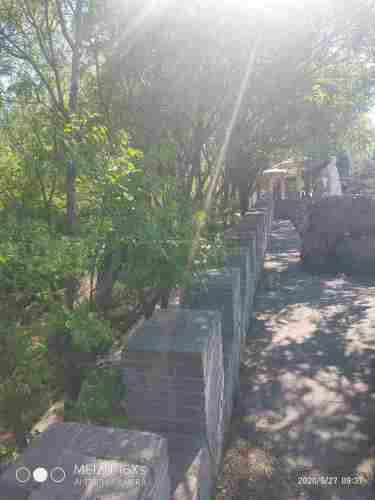 市民广场旅行图片 3