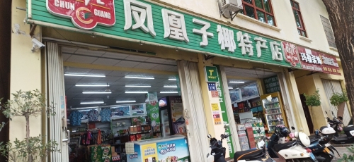 ​春光海南特产直营店(凤凰子椰特产店)