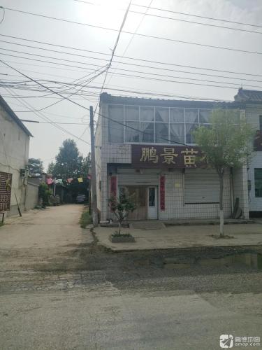 鹏景苗木