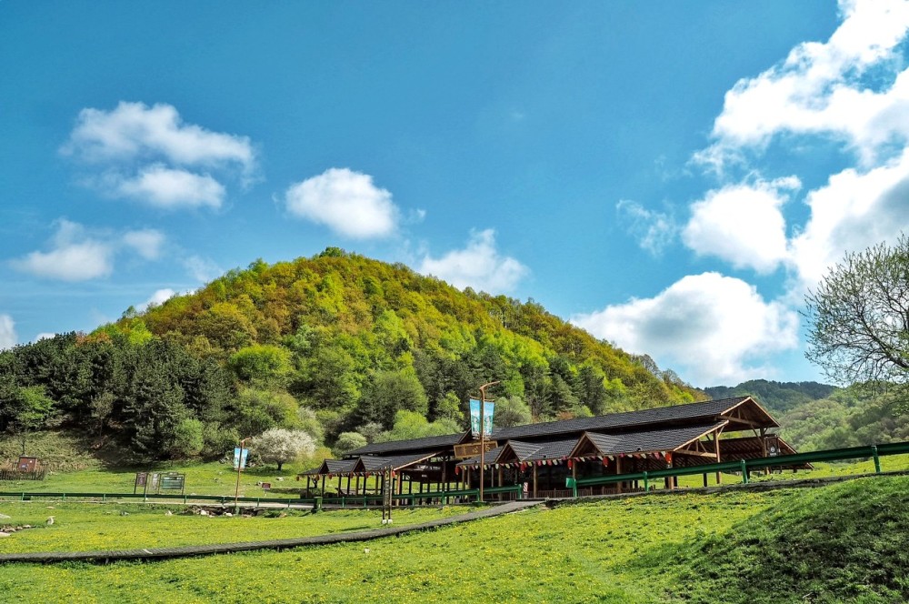 大水川旅游度假区景点图片