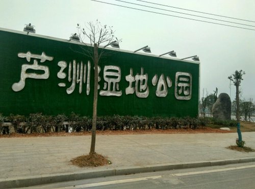 芦洲湿地公园旅行图片 1