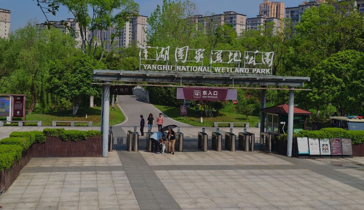 洋湖湿地公园现场照片 7