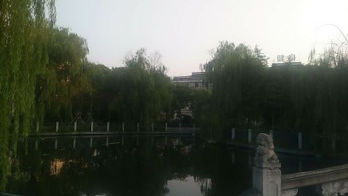 博大世纪公园旅行图片 1