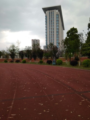 市民体育公园旅行图片 3