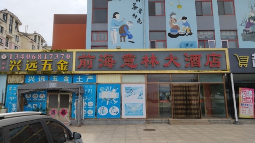 前海意林大酒店