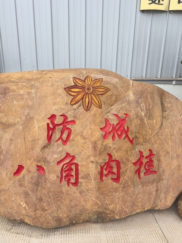 广西桂通香料孵化基地实景图（3）